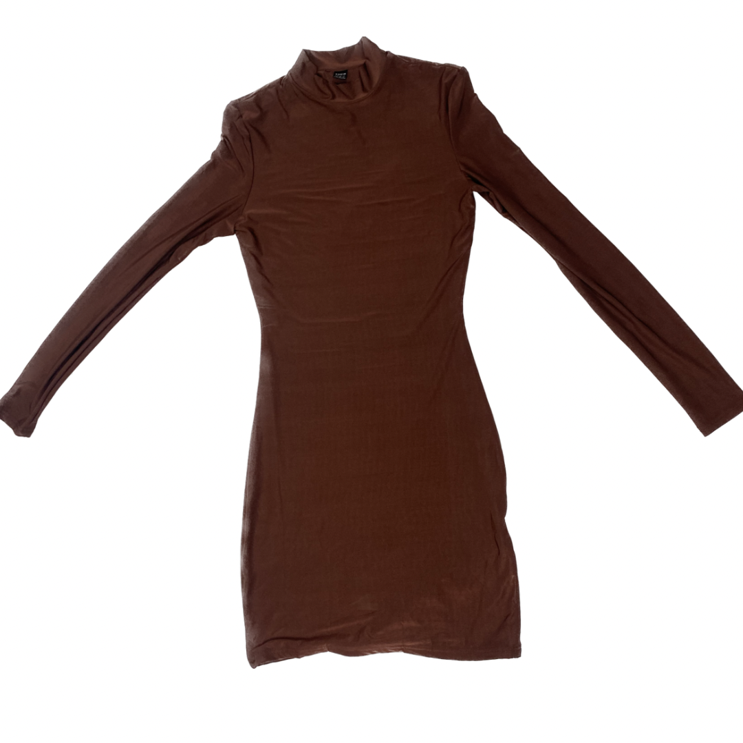 Brown Body Dress (Size 4)